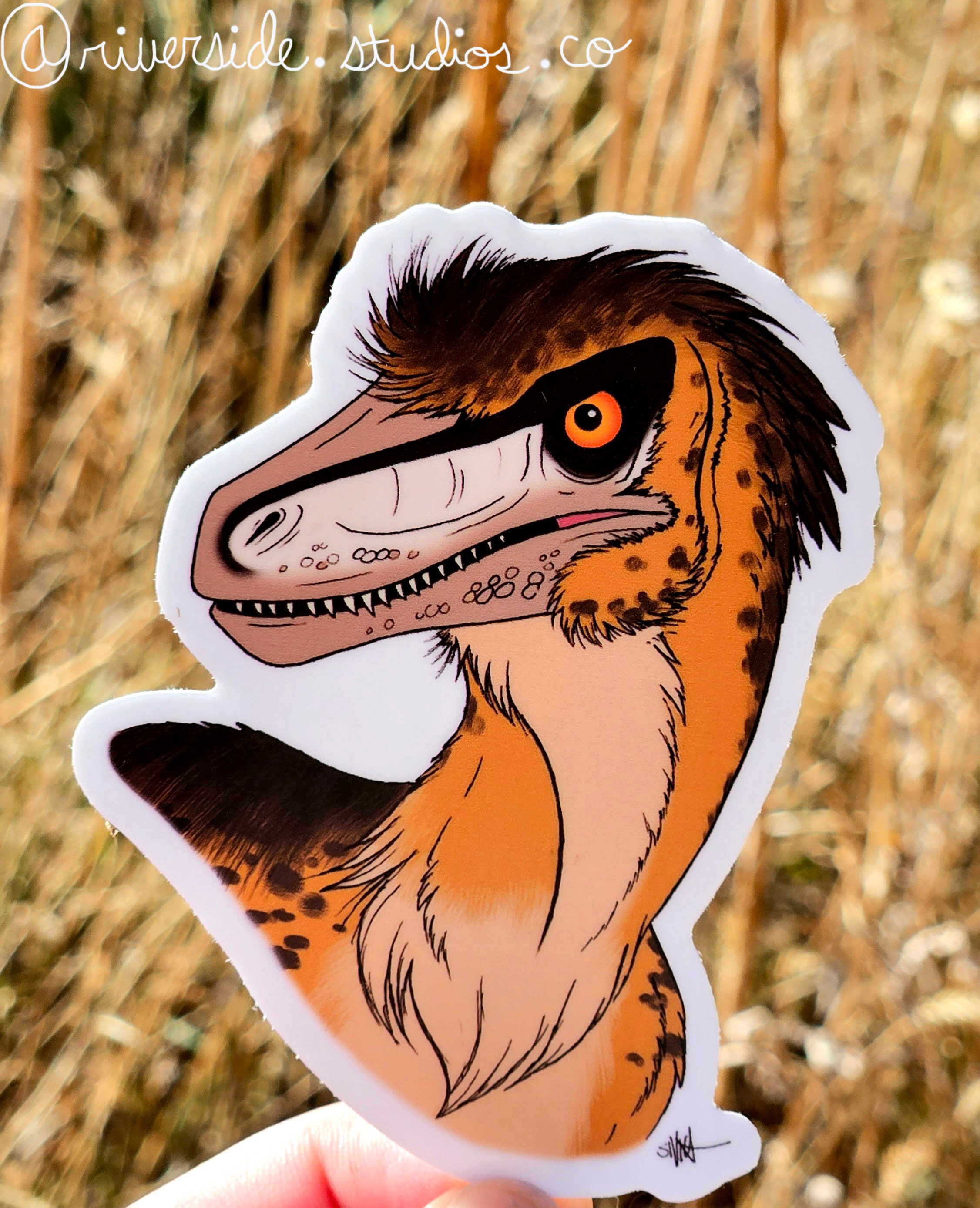 Dakotaraptor Vinyl Sticker 3" - Original Dinosaur Paleoart