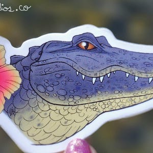 American Alligator Vinyl Sticker 3&quot; Original Fantasy Florida Wildlife Art Animal