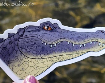 American Alligator Vinyl Sticker 3" Original Fantasy Florida Wildlife Art Animal