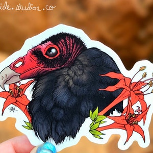 Turkey Vulture Vinyl Sticker 3" - Original Fantasy Wildlife Wild Bird Art