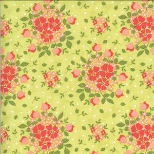 Sällsynt - Av de CONTINUOUS HALF Yards - Canning Day av Corey Yoder för Moda Fabrics, Mönster #29081-15 Korallgelébukett på Seedling Green