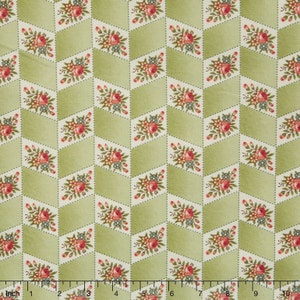 By The Continuous HALF YARD - For Your Love by Renee Nanneman for Andover, #7775-NG Ombre Chevron Floral, Colorful Flowers on Cream & Green