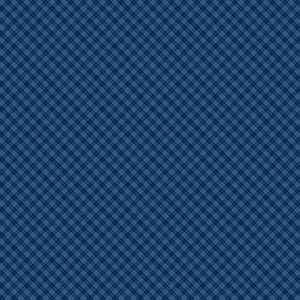 May include: A blue and white checkered pattern background.