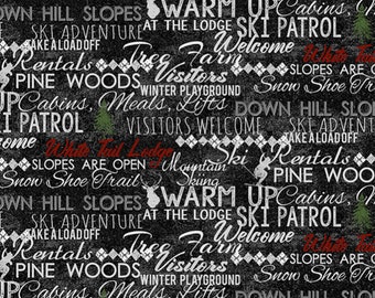 RARO - RESTO DA 14" - Parco giochi invernale di Dan DiPaolo per Clothworks #Y2767-3 Immagini colorate di sport invernali, parole su nero