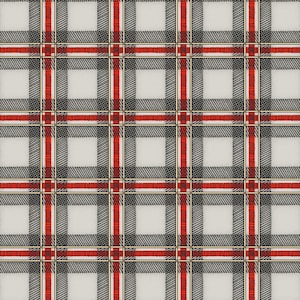 Op de afbeelding: Een naadloos patroon van rood en zwart ruitjes met een witte achtergrond. Het patroon is gemaakt van dunne lijnen die een geruit effect creëren.