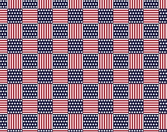 RARE - By The Continuous HALF Yard - Pride and Honor by Whistler Studios for Windham, #51767-X Red, White and Blue Stars and Stripes Check