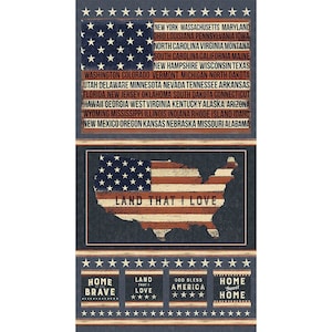 RARE - 24” X 44” PANEL - Land That I Love by Dan DiPaolo for Clothworks, #Y2412-55 Flag in Shape of the USA, Flag with States, Quote Blocks