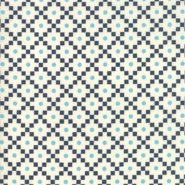 RARE - By The Continuous HALF YARD - Walkabout by Sherri & Chelsi for Moda, #37565-14 Night Sky Journey on Ivory, Navy Checks and Aqua Dots