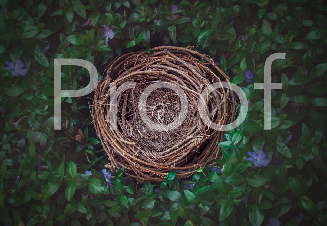 Digital Bacdrop/background - Etsy Australia