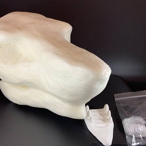 Sergal Foam Head Fursuit Base Kit