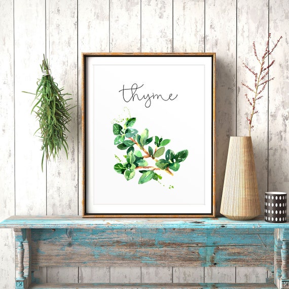 Herbs Kitchen Decor Thyme Watercolor Print Kitchen Etsy