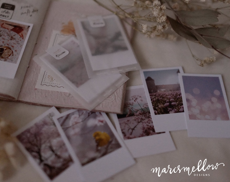 Spring Blossom themed photo cards, aesthetic images on white matte cardstock image 2