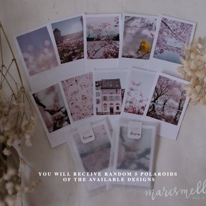 Spring Blossom themed photo cards, aesthetic images on white matte cardstock image 3