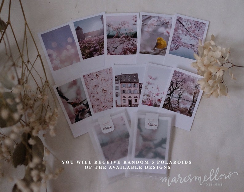 Spring Blossom themed photo cards, aesthetic images on white matte cardstock image 3