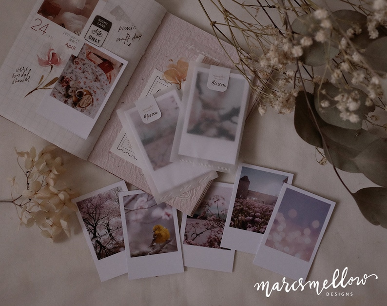 Spring Blossom themed photo cards, aesthetic images on white matte cardstock image 1