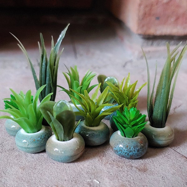 Miniature Succulents, Dollhouse Plants, Miniatures, Dollhouse Succulent, Doll House Plant, Miniature Furniture, Tiny Plants, 1:6 Scale