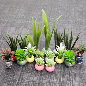 Suculentas en miniatura, plantas para casas de muñecas, miniaturas, suculenta para casa de muñecas, planta para casa de muñecas, muebles en miniatura, plantas diminutas, escala 1:6