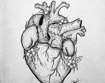 Anatomical heart illustration wall art