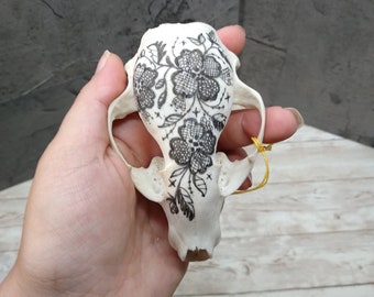 Hand Painted and  Carved Skull - Painted Racoon Skull -  Carved skull - Bone Art -