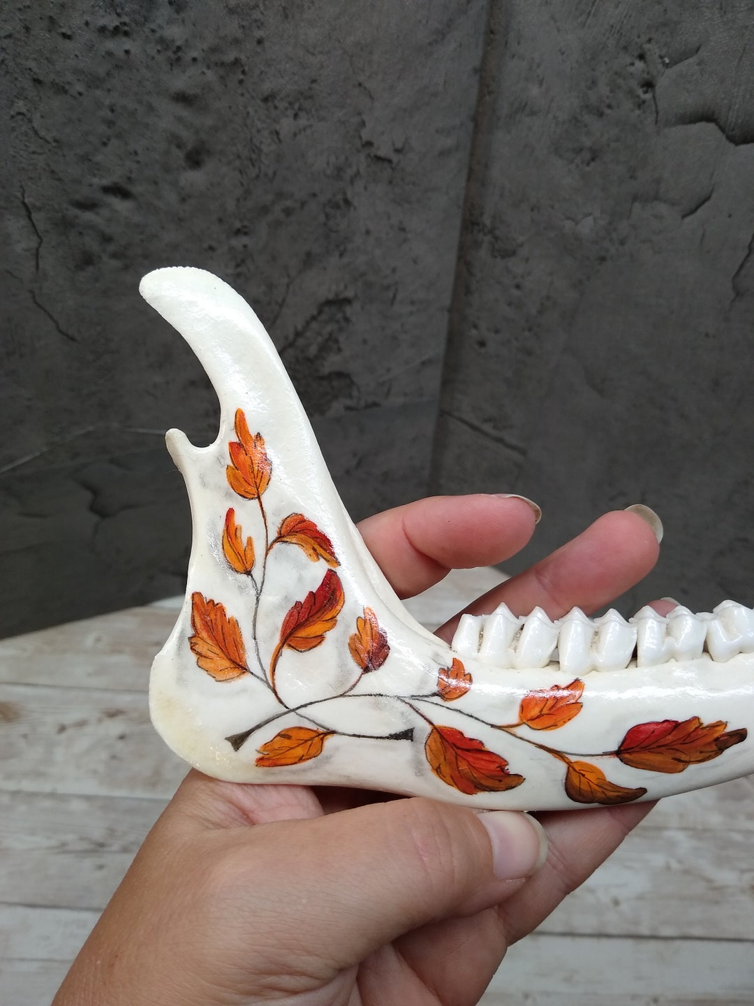 Painted Deer Jaw Hand Painted Deer Jaw Floral Painting - Etsy