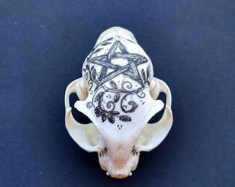 Creepy little goth skull - Bone art - Pentacle