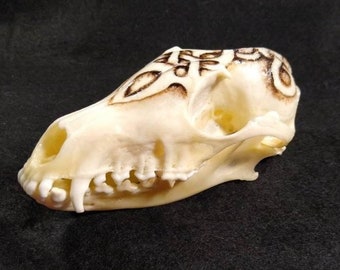 Hand Painted Skull - Fox Skull -  Painted Fox Skull - Bone Art