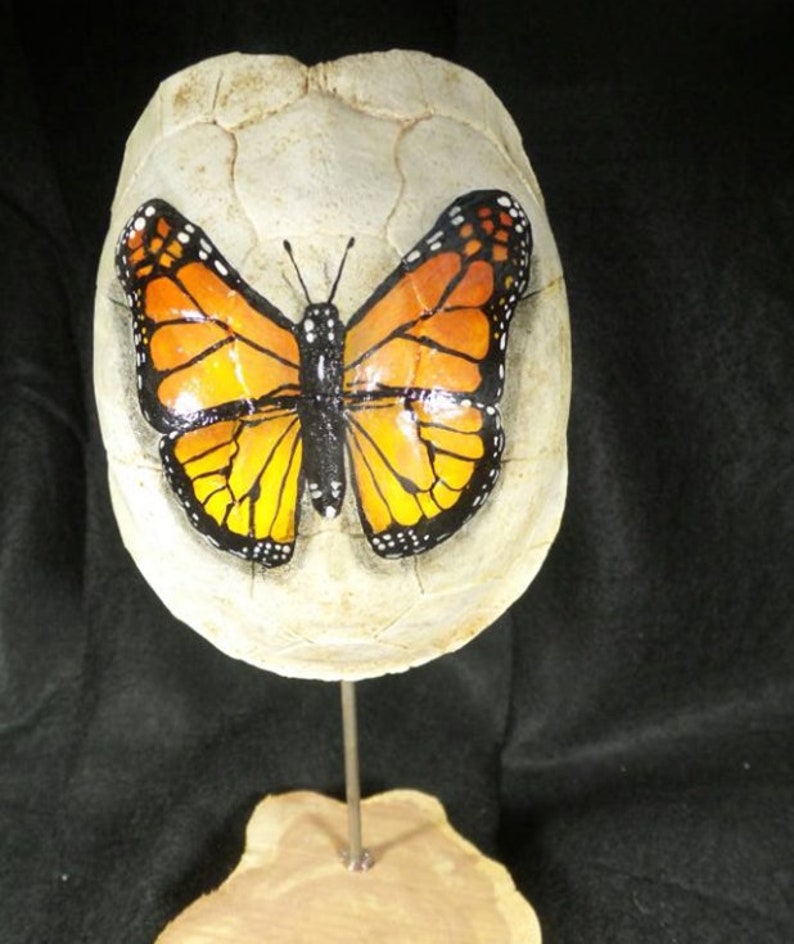 Hand Painted Turtle Shell Painted Shell Small Painted - Etsy