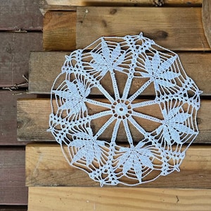 May include: A delicate, white crocheted doily with a circular design. The doily has a center with a smaller circle and eight points radiating outwards.