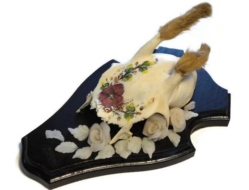 Roe Deer Skull Deer Skull Hand Painted Skull Floral Etsy
