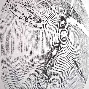 Original Hand- Pressed Print of Pine Tree. Wall Decor Idea