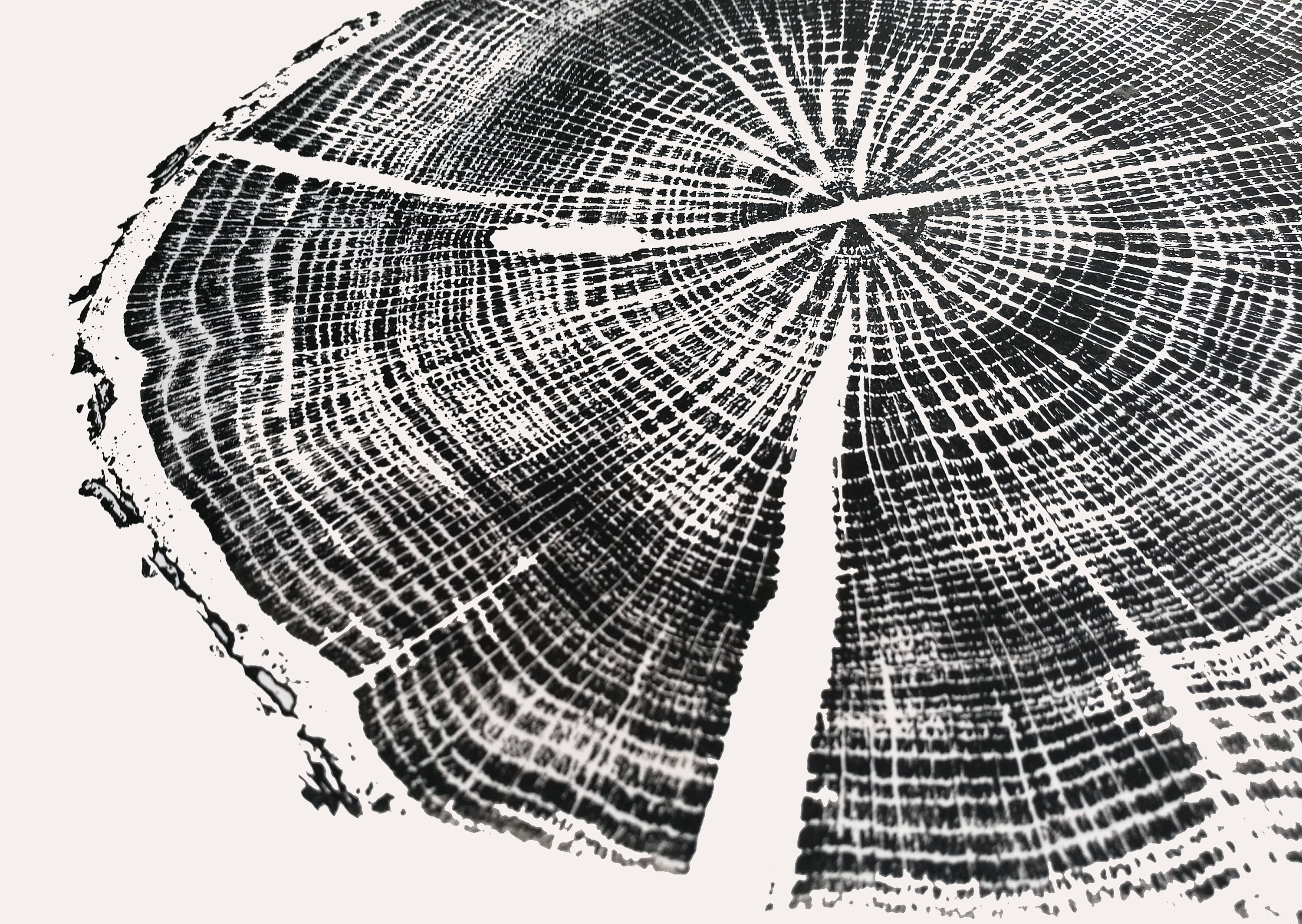 Rustic Tree Woodblock Gift for Rustic Birthday, Oak Tree Ring Print, Woodblock Print, Wall ...