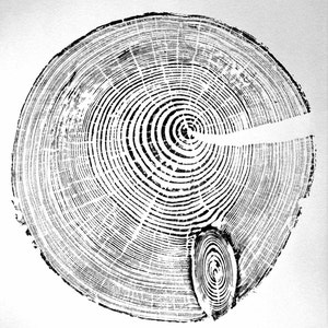 Regalo di compleanno per 70 anni, Anelli d'albero, Pino di 70 anni, Stampa originale pressata a mano, Decorazione da parete, Anelli d'albero