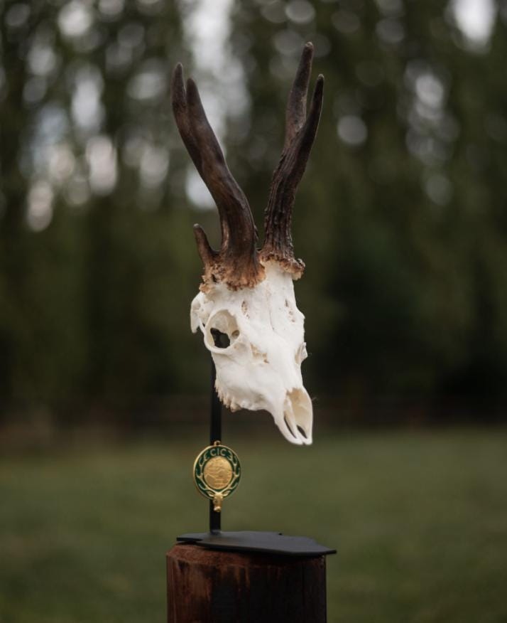 Trophy Deer Skull - Etsy Denmark
