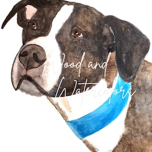 Pitbull dog Watercolor Print - Digital download