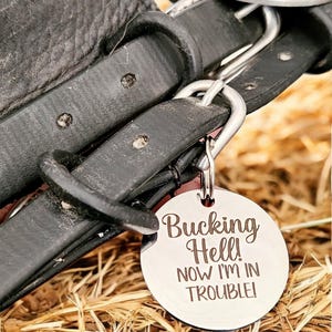 Bridle, Saddle and Headcollar tags, safety for if you fall off your horse. Personalised with your own text.