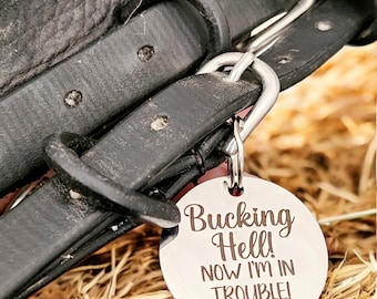 Bridle, Saddle and Headcollar tags, safety for if you fall off your horse. Personalised with your own text.