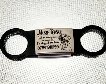 Slide on silicone and stainless Steel pet ID tags, 2 sizes and 4 colours to choose from. Laser engraved.