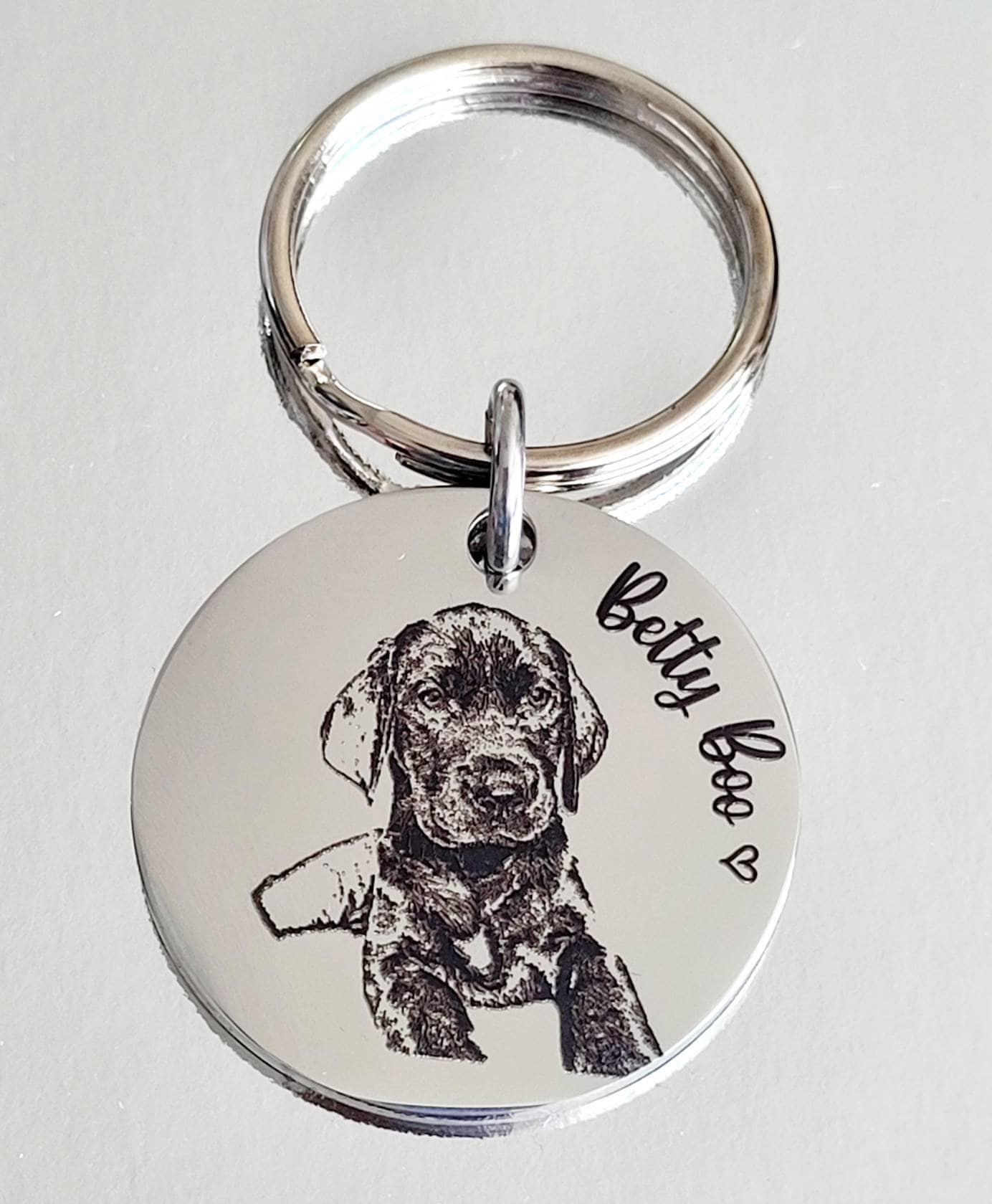 PORTE CLEF METAL ARGENTE : chien Labrador et chat gris 27 mm (02)