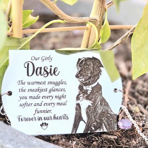 Custom Engraved Stainless Steel Real Photo Plaque for Bench| Memorial| Personalised Design| Memorial 304 Steel or Brass.