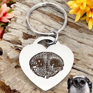 May include: A silver heart-shaped dog tag with a laser-engraved paw print. The tag is attached to a silver key ring.