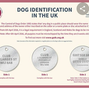 May include: A guide to dog identification in the UK, with examples of dog tags. The tags include the owner's name, address, and phone number. One tag also includes the text "I'm microchipped".