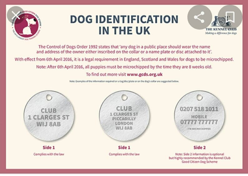 May include: A guide to dog identification in the UK, with examples of dog tags. The tags include the owner's name, address, and phone number. One tag also includes the text "I'm microchipped".