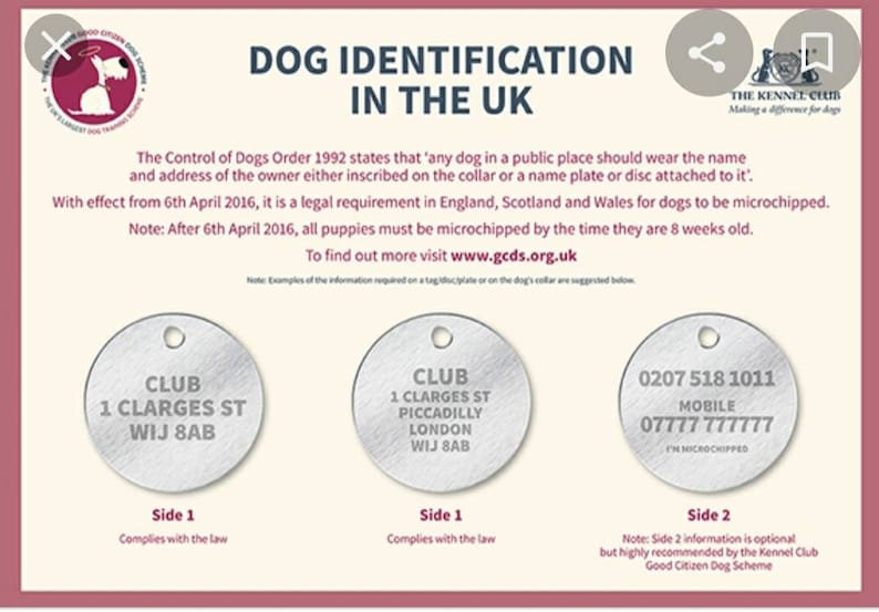 Dog ID Tags Black Coated Brass Bones With Rose Gold Showing Etsy