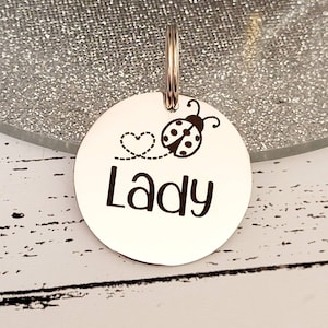 Ladybird design.  Pet ID tags laser engraved,  stainless steel available in silver, gold and rose gold