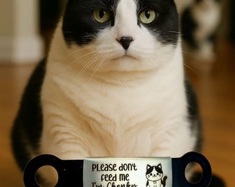 Please don't feed me. Cat ID tag. Laser engraved. Cat tag. Custom text