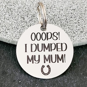 Bridle, Saddle and Headcollar tags, safety for if you fall off your horse. Personalised with your own text.