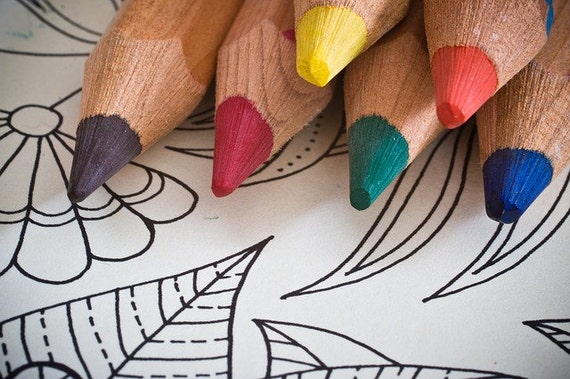 Coloriage Lot De Deux Adulte Coloriage Oiseau Zentangle Oeuvre Imprimable Perruches Perroquet Télécharger Mandala Illustration