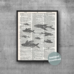 Puede incluir: Ilustraci&oacute;n en blanco y negro de varios peces nadando en formaci&oacute;n de cardumen. La ilustraci&oacute;n est&aacute; impresa en una p&aacute;gina de un antiguo diccionario con la palabra "Pez" en la parte superior de la p&aacute;gina.