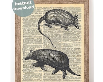 Lámina artística del diccionario de armadillos: decoración de pared de mamíferos de Texas (descarga digital)