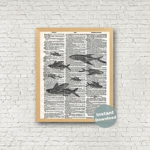 Puede incluir: Ilustraci&oacute;n vintage en blanco y negro de peces nadando a trav&eacute;s de una p&aacute;gina de diccionario. La p&aacute;gina presenta texto de un diccionario antiguo, incluyendo las palabras "Freak" y "Masoner&iacute;a".